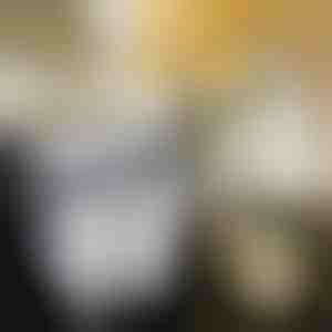 Sklopiva kuhinjska korpa | FLEXBIN