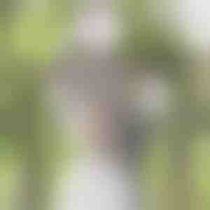 Visokokvalitetni svileni cvetovi| WISBLOOM