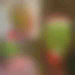 Božićni ukras Grinčeve noge | ELFLEGS