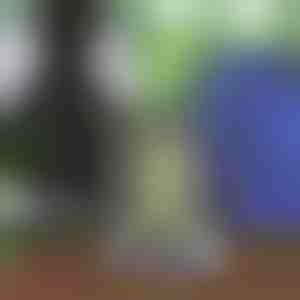 Uniseks ranac sa učkurom | STRIPEBACK