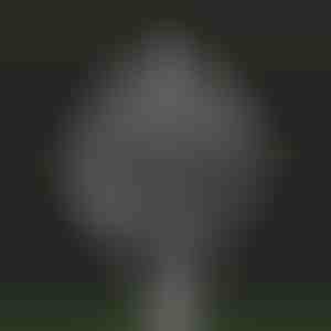 Vrtna magija kinetička vetrenjača | VINDARA