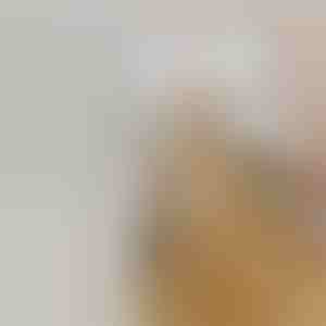 Četka za kućne ljubimce koja efikasno uklanja opalu dlaku | GROOMSY