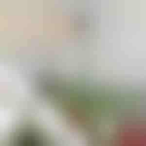 Podesiva šipka za stabilizaciju vrha jelke | STABLESTAR